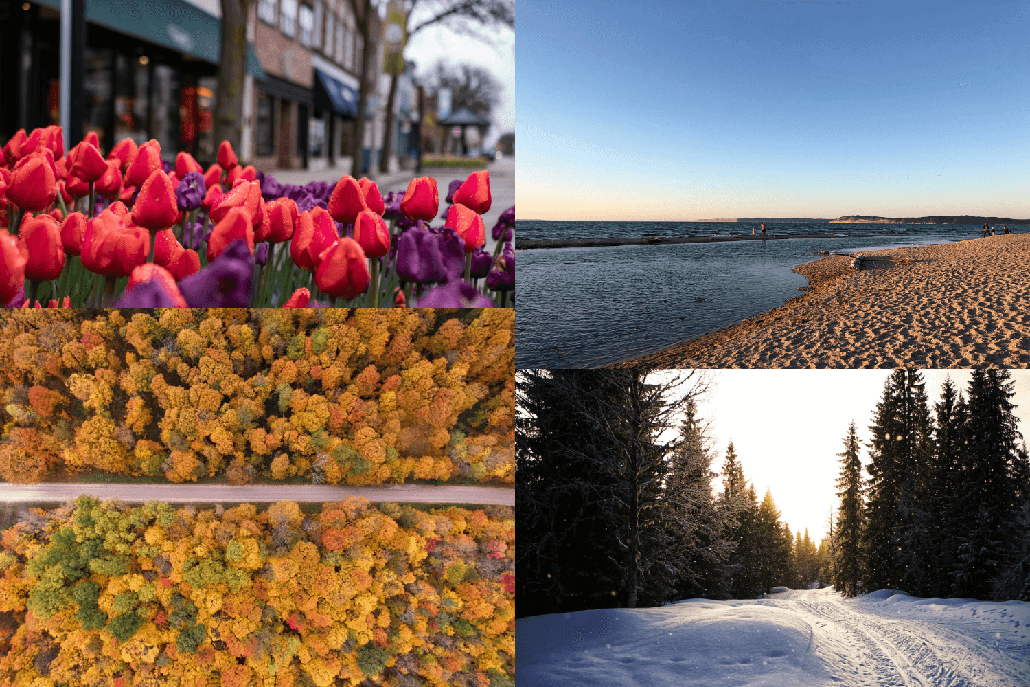 Living-in-the-Midwest-beautiful-seasons