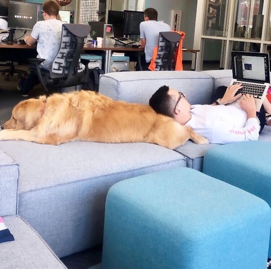 Quikly Office