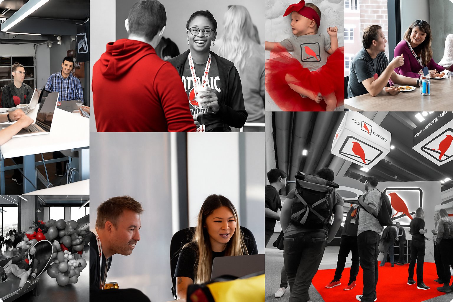 TC2W_26_Colorado_RedCanary_rounded