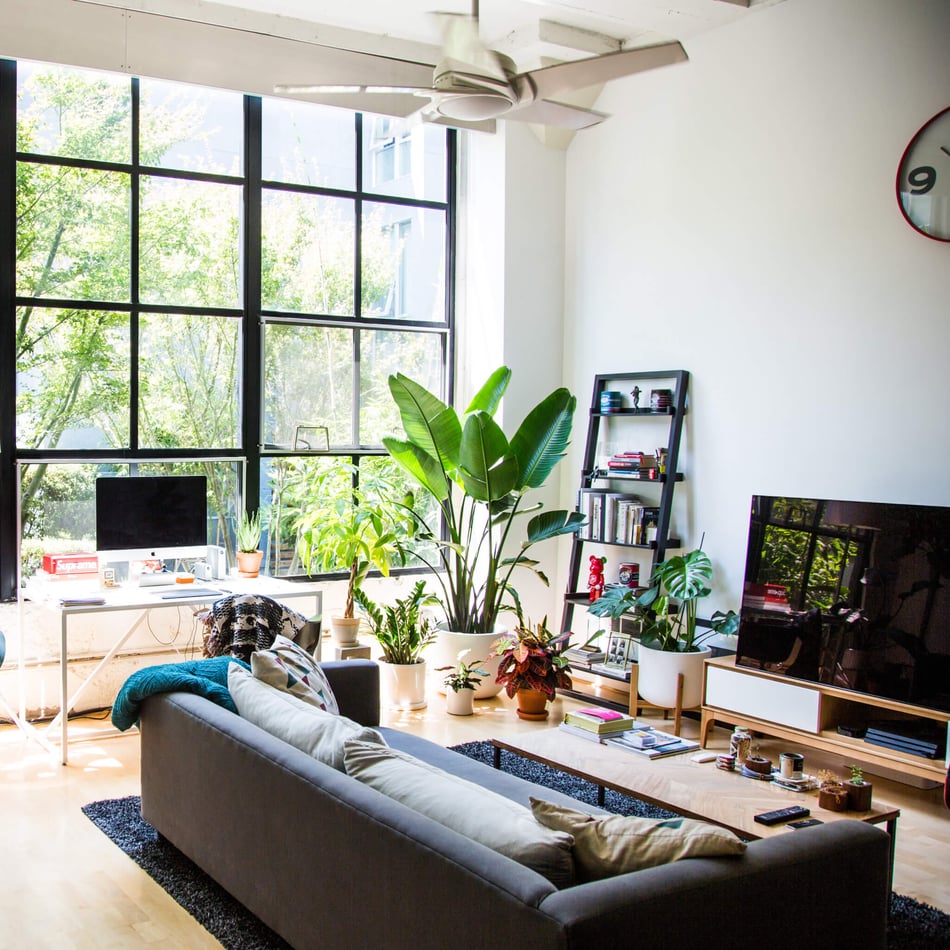 Detroit Startup, Bloomscape, Raises $7.5M in Series A