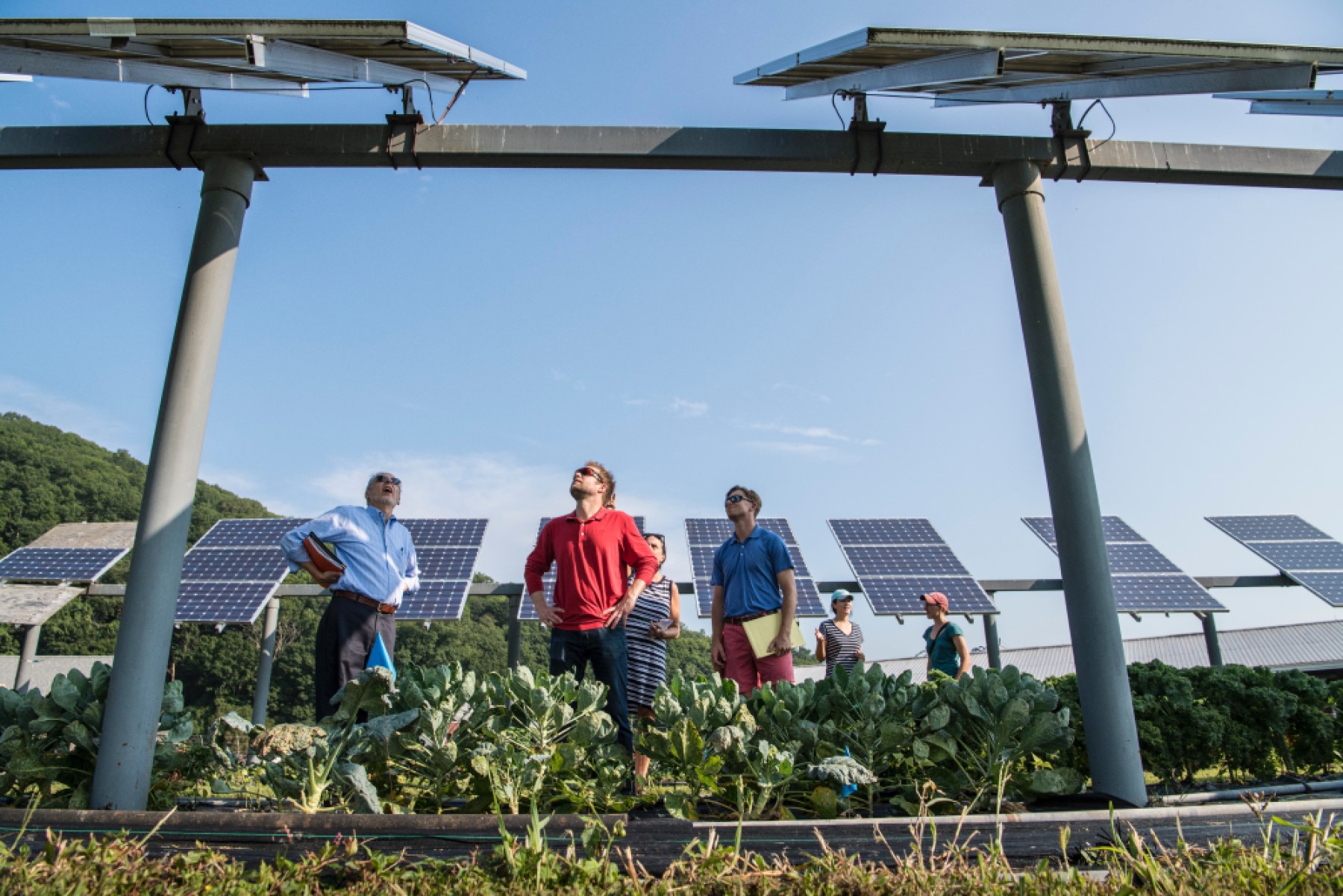 solar energy
