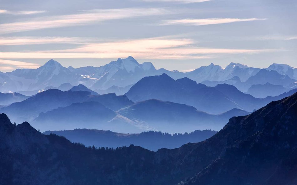 Working with Purpose, Happier Life