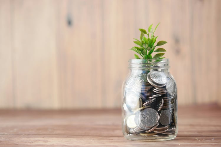 Jar of coins with a plant growing out of it - decorative for funding