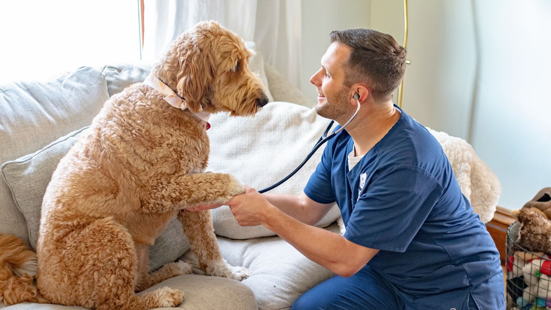 purpose-driven company - vetr health